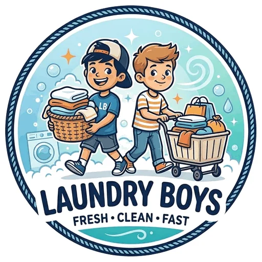 Laundry Boys logo